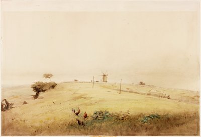 Einer der Aggers des Vallum, oben auf der Westgate Road, Newcastle, wie er 1848 erschien von Henry Burdon Richardson